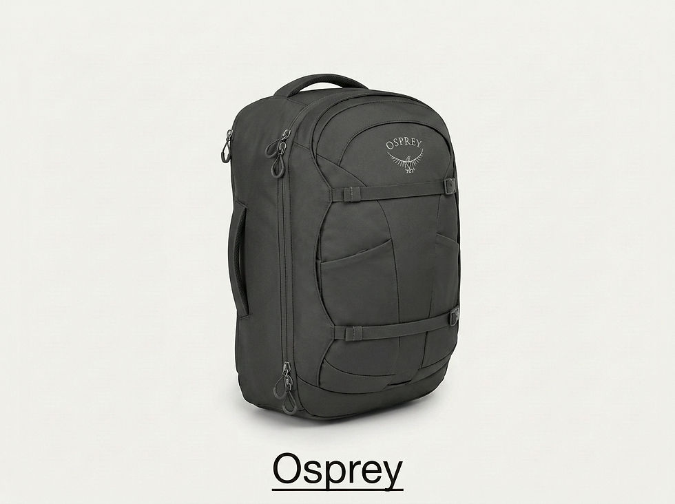 Osprey Travel Backpack Bags