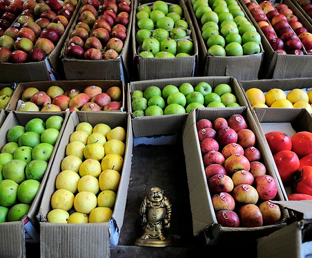Apples of Himachal_Wikimedia Commons.jpg