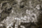 2M1A8970.JPG