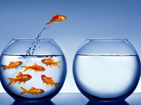 Kempis on: Unbridled Affections