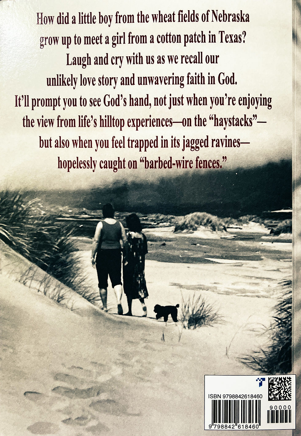 Thumbnail: BOOK-HAYSTACKS and BARBED WIRE FENCES