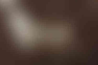 detail of wedding florals within the light and shadows