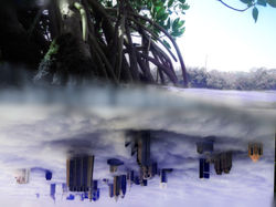 Two Worlds