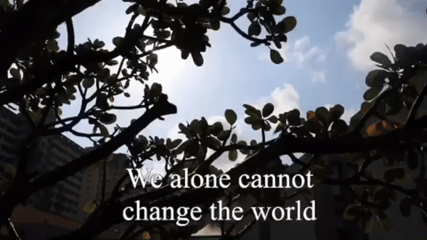 ezgif.com-video-to-gif.gif