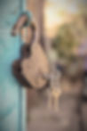 Old fashioned lock on a blue barn door in the woods forest_edited.jpg