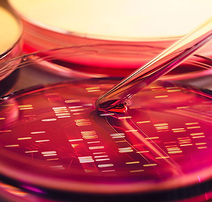 Petri Dish