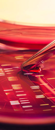 Petri Dish