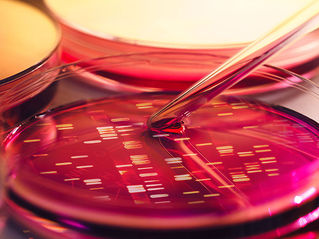 What do I need to know about COVID-19? May 2020