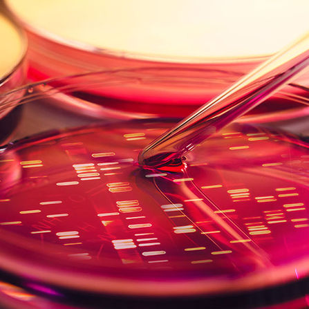 Infections à Clostridium difficile : quelle prise en charge ?