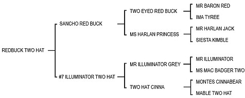 REDBUCK TWO HAT.jpg