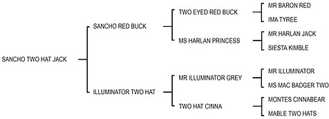 Sancho Two Hat Jack.jpg
