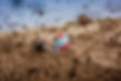 Motocross Action Shot