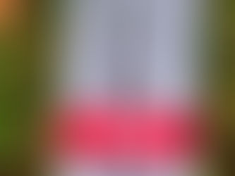 Las fotos, de Inés Ulanovsky