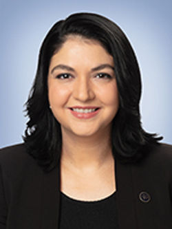 Céline Haytayan, Assemblée nationale du Québec