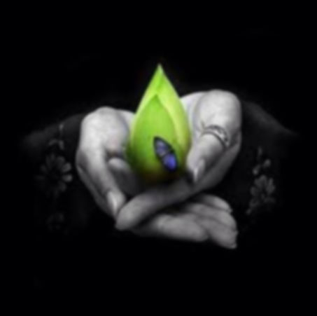 surrenderandshine logo.jpg