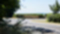 Grovelands_022.jpg