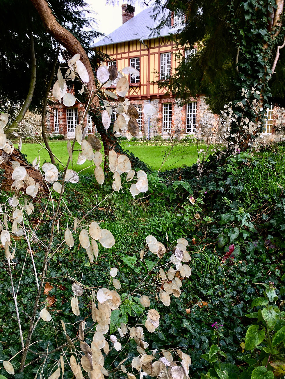 26_Monnaie_du_pape_5