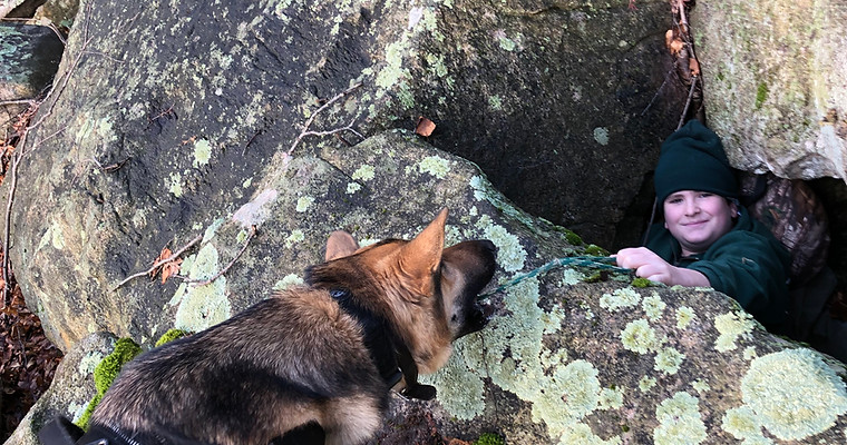 K9 ODIN SAR.JPG