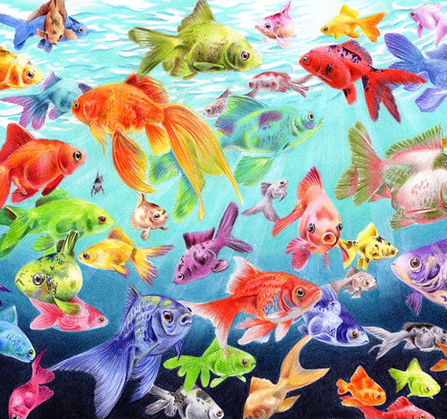Chromafish.jpg