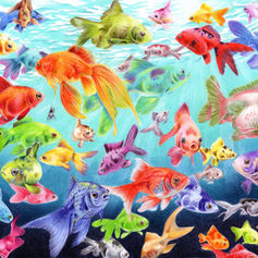 multicolored fish drawing
