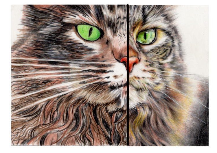 drawing of a green eyed cat split into good and bad technique