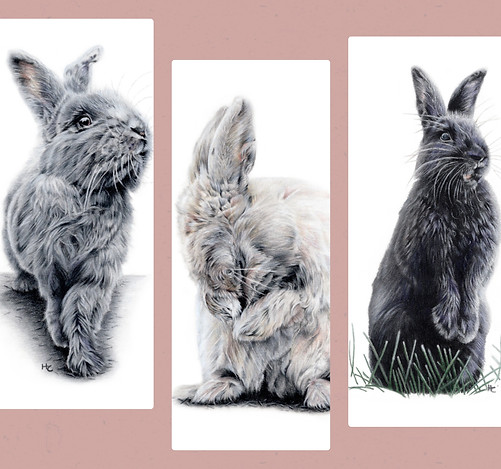 3 Bunnies.jpg