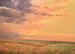 Sundown Near Cedar Point