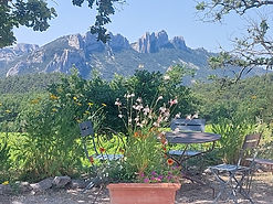 photo vue terrasse.jpg