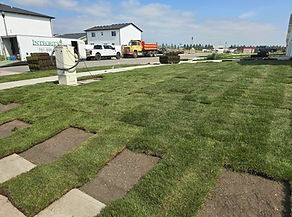 Laying Sod
