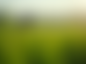 Building a Community Around Nigerian Agriculture Innovatively