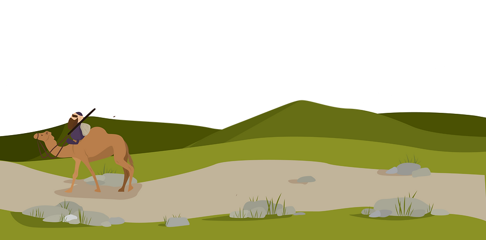 section 1.png