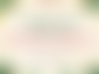 🎄 8 Days of Christmas Kindness: Small Acts That Bring Our Community Together