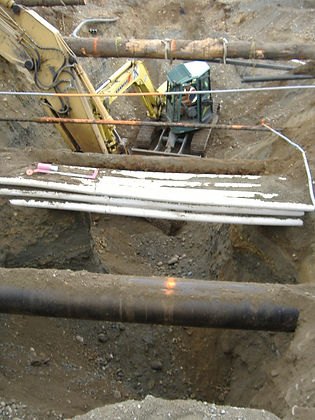 bobcat 021.jpg