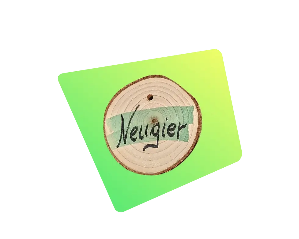 Ein Stück Holz mit dem handgeschriebenen Wort "Neugier" darauf.