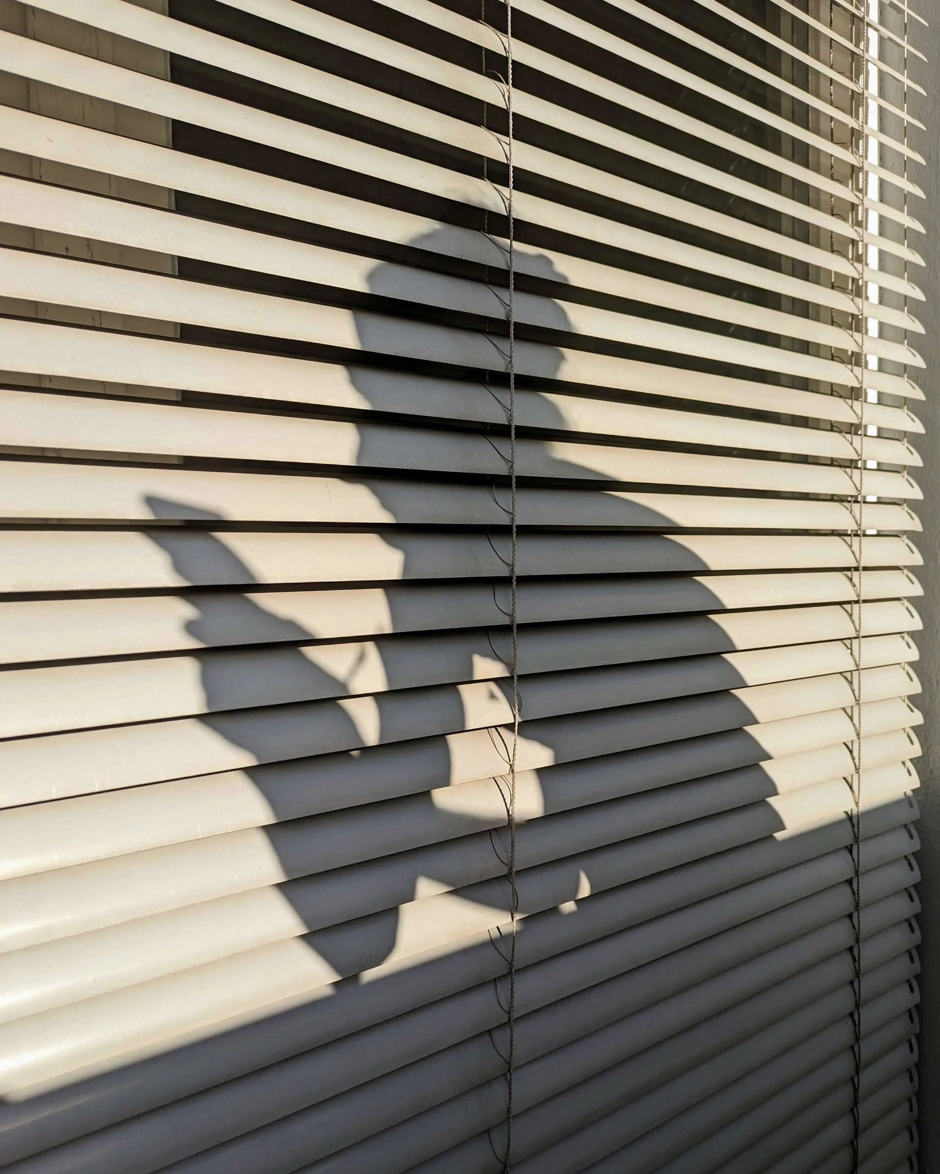 Schatten vor einem Fenster