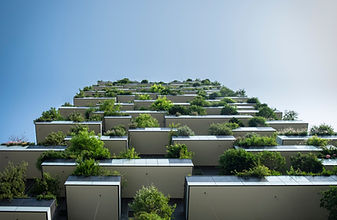 Vertical Garden Building