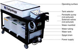 Fish Anesthesia Delivery System