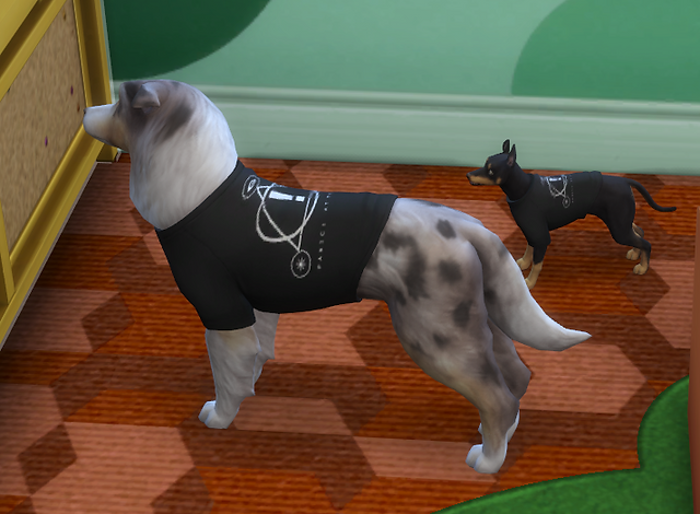 dogs