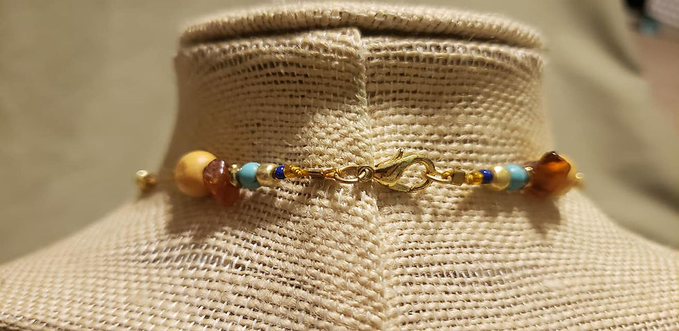 Thumbnail: Caribbean Cowry