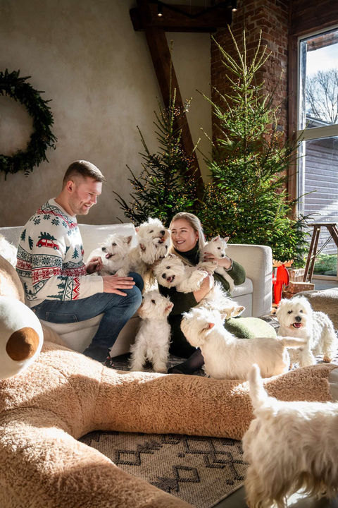 Kalėdinė Šeimos fotosesija klaipeda. Geriausi Kalėdinės šeimos fotografai pajūryje. Kalėdinė fotosesijos kainos. Kalėdinė Šeimos fotosesija Kretinga.