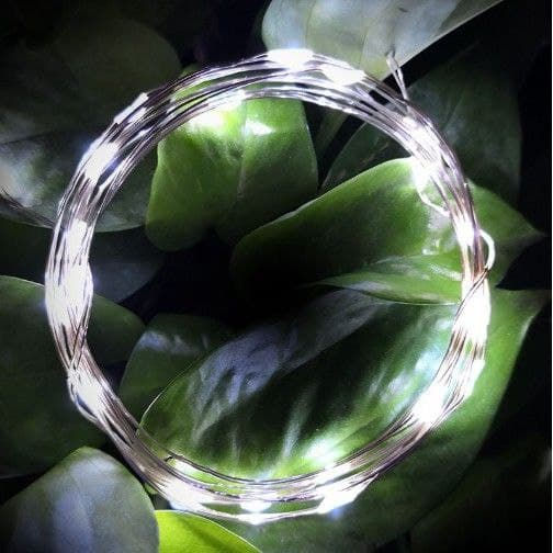 Thumbnail: Fairy Light