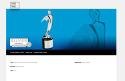 Silver Telly Award (Directing)