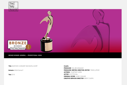 Bronze Telly Award