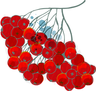 Berries