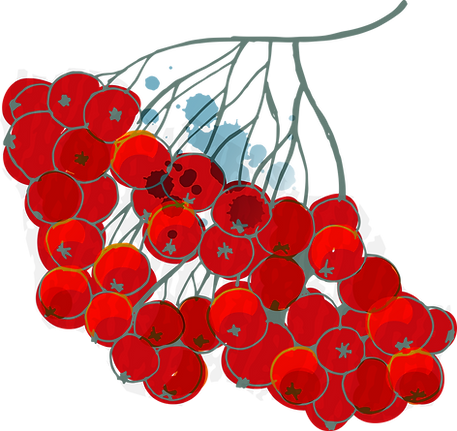 Berries 