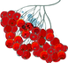 Berries
