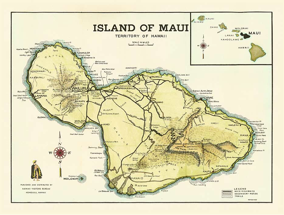 www.mauisaltandsage.com