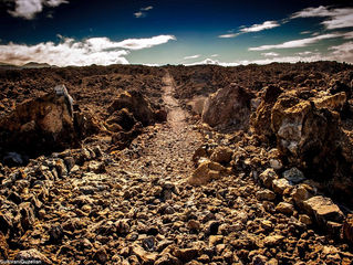 The King's Highway of Maui