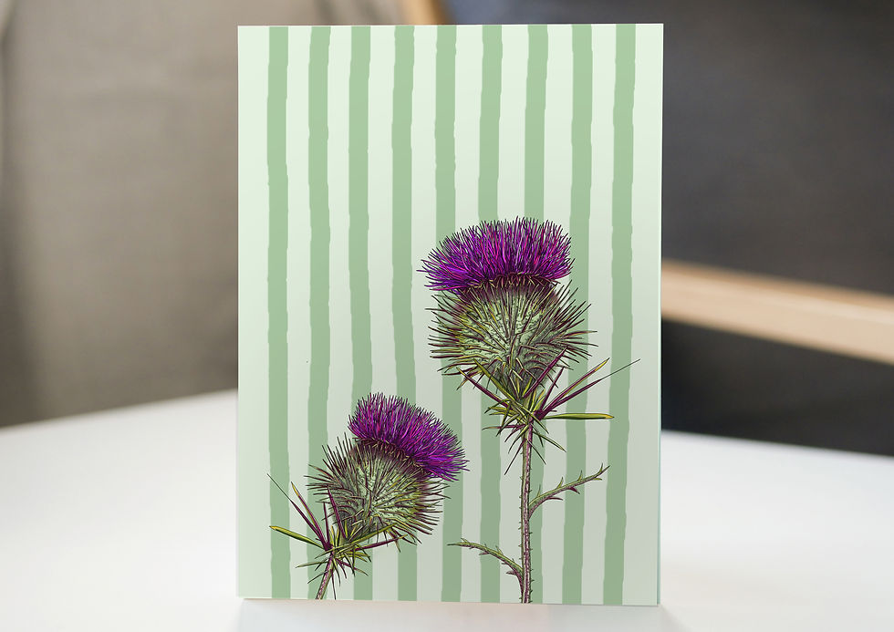 SCottish thistle on stipe blackgournd illustration
