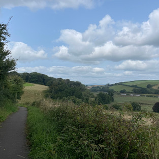 Cycle path near Totnes